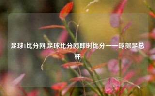 足球1比分网,足球比分网即时比分一一球探足总杯