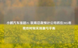 小鹏汽车涨超3% 联席总裁预计公司将在2025年晚些时候实现盈亏平衡