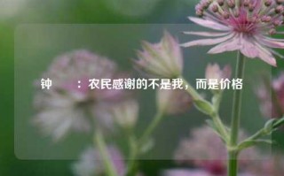 钟睒睒：农民感谢的不是我，而是价格