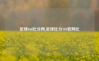 足球868比分网,足球比分188官网比