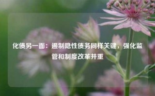 化债另一面：遏制隐性债务同样关键，强化监管和制度改革并重