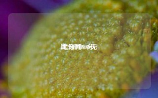 比分网1030无
,比分网90分