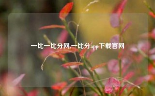 一比一比分网,一比分app下载官网