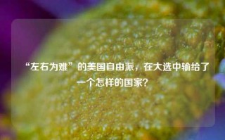 “左右为难”的美国自由派，在大选中输给了一个怎样的国家？