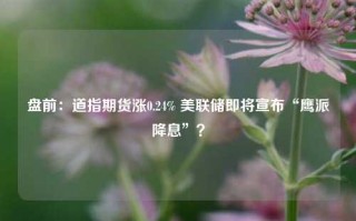 盘前：道指期货涨0.24% 美联储即将宣布“鹰派降息”？