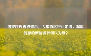 信披违规再被警示，今年两度终止定增，滨海能源的新能源梦何以为继？