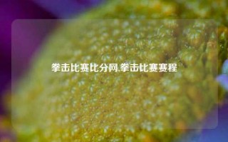 拳击比赛比分网,拳击比赛赛程