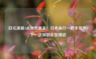 日元凌晨1点突然暴走！日本央行一把手发声：下一次加息正在接近