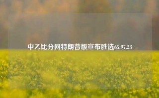 中乙比分网特朗普版宣布胜选65.97.23