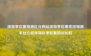 深圳季后赛预测比分网站深圳季后赛竞技预测平台介绍深圳队季后赛四川长虹