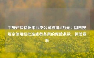 平安产险徐州中心支公司被罚42万元：因未按规定使用经批准或者备案的保险条款、保险费率