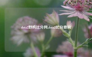 dota2野鸡比分网,dota2比分查询