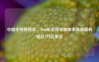 中国半导体协会：2030年全球半导体市场规模有望达1万亿美元