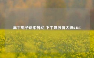 高平电子盘中异动 下午盘股价大跌6.48%