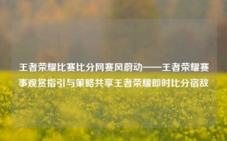 王者荣耀比赛比分网赛风蔚动——王者荣耀赛事观赏指引与策略共享王者荣耀即时比分宿敌