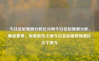 今日足彩预测分析比分网今日足彩预测分析，解读赛事，探索胜负之秘今日足彩推荐预测比分丁禹兮