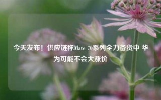 今天发布！供应链称Mate 70系列全力备货中 华为可能不会大涨价