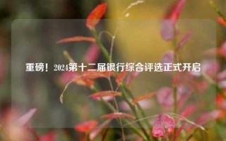 重磅！2024第十二届银行综合评选正式开启