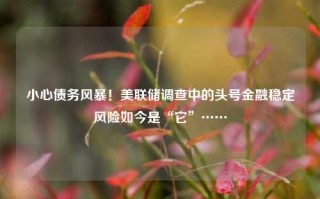 小心债务风暴！美联储调查中的头号金融稳定风险如今是“它”……