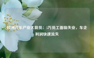 欧洲汽车产业大裁员：5万员工面临失业，车企利润快速流失