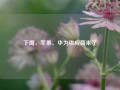 下周，苹果、华为供应商来了