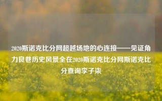 2020斯诺克比分网超越场地的心连接——见证角力良巷历史风景全在2020斯诺克比分网斯诺克比分查询李子柒