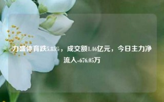 力盛体育跌5.85%，成交额1.46亿元，今日主力净流入-676.05万