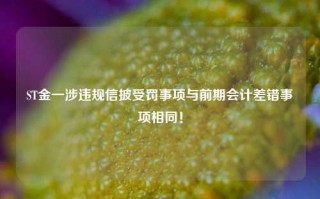 ST金一涉违规信披受罚事项与前期会计差错事项相同！