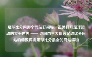 足球比分网哪个网站好揭秘！正确打开足球运动的大千世界 —— 论国内三大优选足球比分网站的细致评测足球比分最全的网站得物