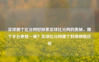 足球哪个比分网好探索足球比分网的奥秘，哪个平台更胜一筹？足球比分网哪个好用纳斯达克