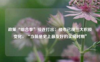 政策“组合拳”接连打出：楼市已现三大积极变化，“当前是史上最友好的买房时期”