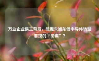 万业企业易主背后，隐现朱旭东借半导体转型套现的“阳谋”？