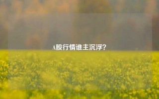 A股行情谁主沉浮？