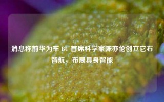 消息称前华为车 BU 首席科学家陈亦伦创立它石智航，布局具身智能