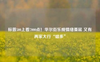 标普500上看7000点！华尔街乐观情绪蔓延 又有两家大行“唱多”