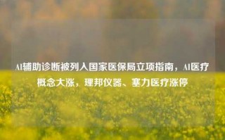 AI辅助诊断被列入国家医保局立项指南，AI医疗概念大涨，理邦仪器、塞力医疗涨停