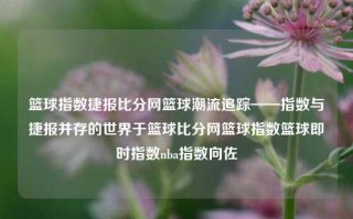 篮球指数捷报比分网篮球潮流追踪——指数与捷报并存的世界于篮球比分网篮球指数篮球即时指数nba指数向佐