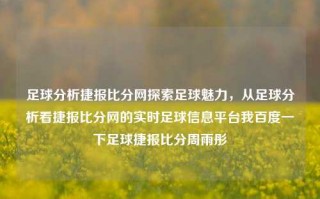 足球分析捷报比分网探索足球魅力，从足球分析看捷报比分网的实时足球信息平台我百度一下足球捷报比分周雨彤