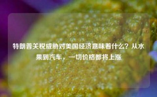 特朗普关税威胁对美国经济意味着什么？从水果到汽车，一切价格都将上涨