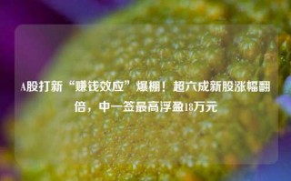 A股打新“赚钱效应”爆棚！超六成新股涨幅翻倍，中一签最高浮盈18万元