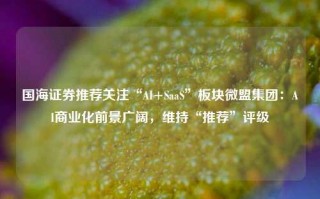 国海证券推荐关注“AI+SaaS”板块微盟集团：AI商业化前景广阔，维持“推荐”评级