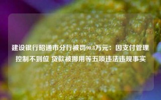 建设银行昭通市分行被罚90.8万元：因支付管理控制不到位 贷款被挪用等五项违法违规事实