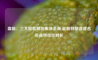 盘前：三大股指期货集体走高 此前特朗普提名贝森特出任财长