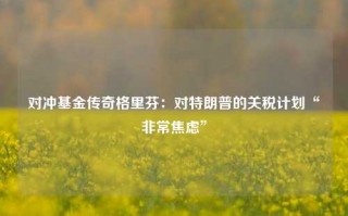 对冲基金传奇格里芬：对特朗普的关税计划“非常焦虑”