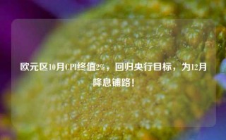 欧元区10月CPI终值2%，回归央行目标，为12月降息铺路！