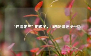 “白酒老三”的位子，山西汾酒还没坐稳