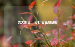 光大期货：11月27日金融日报