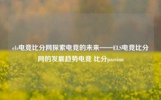 els电竞比分网探索电竞的未来——ELS电竞比分网的发展趋势电竞 比分passion