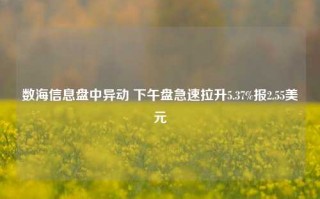 数海信息盘中异动 下午盘急速拉升5.37%报2.55美元