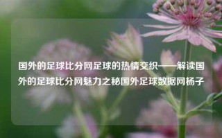 国外的足球比分网足球的热情交织——解读国外的足球比分网魅力之秘国外足球数据网杨子